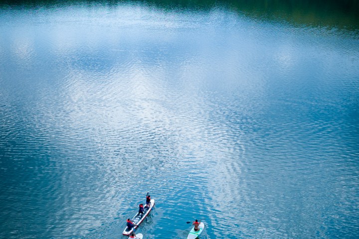 a group of people riding paddleboards on a body of water