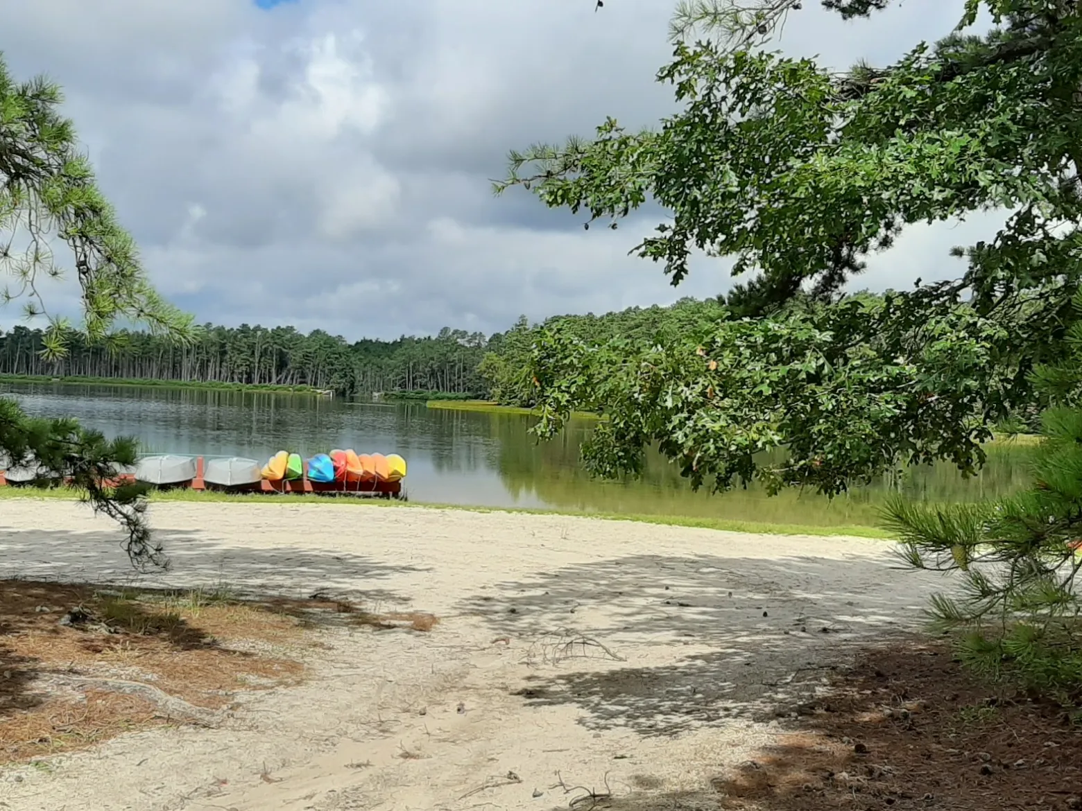 a group of boats lined up on a beach near a lake