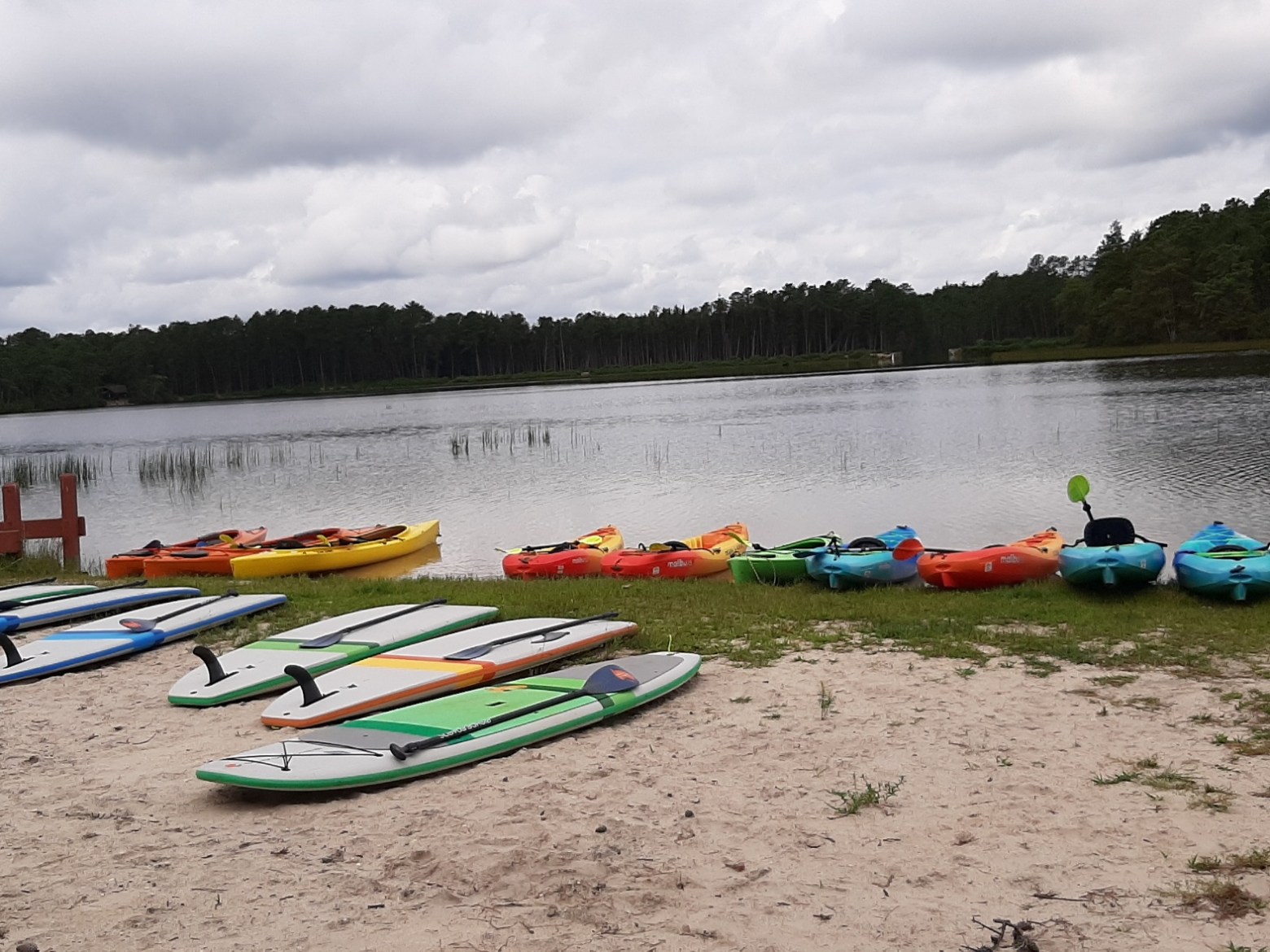paddleboards and kayaks on a sandy beach next to a lake